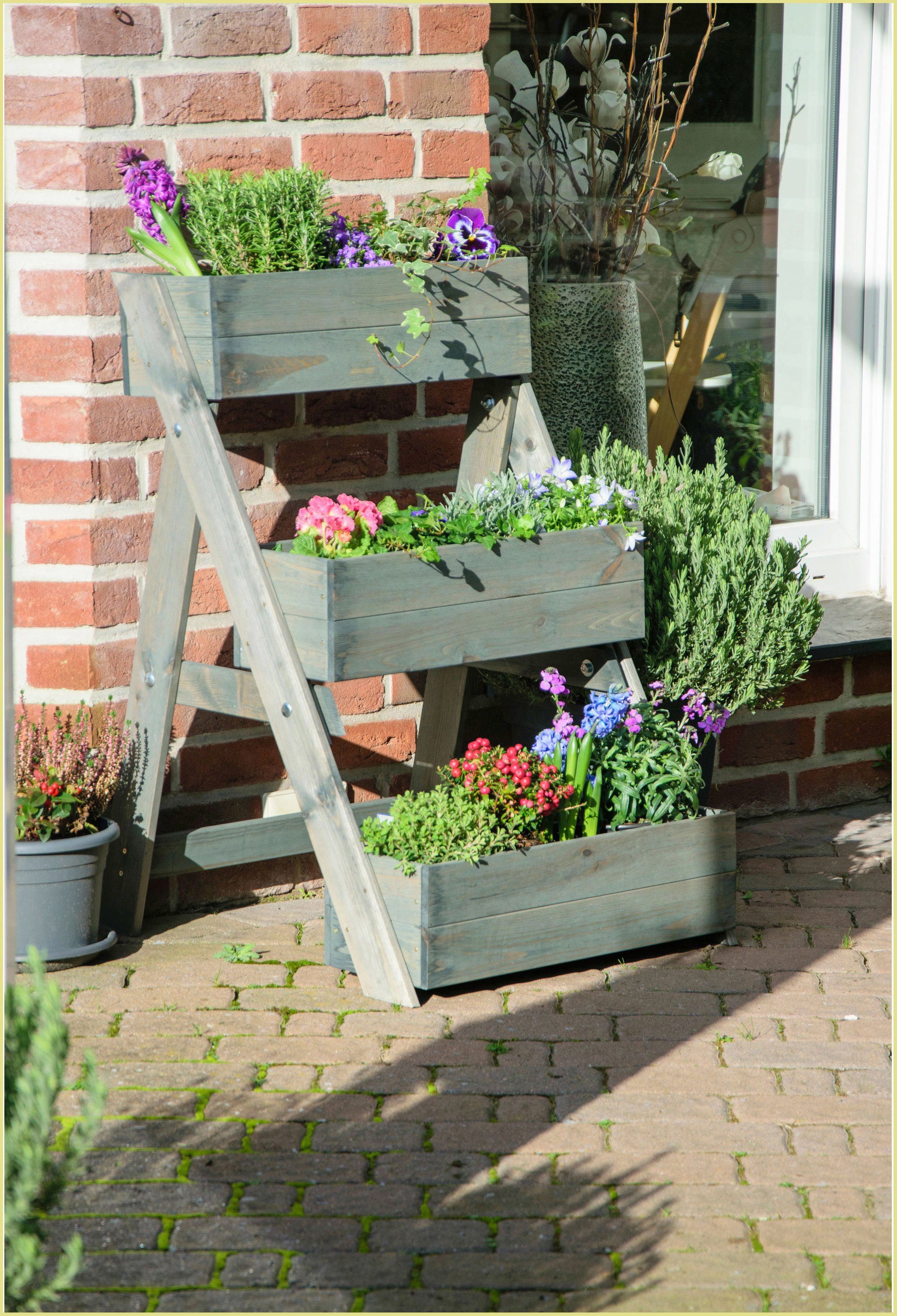 dobar Pflanzentreppe, BxTxH: 60x70x90 cm günstig online kaufen