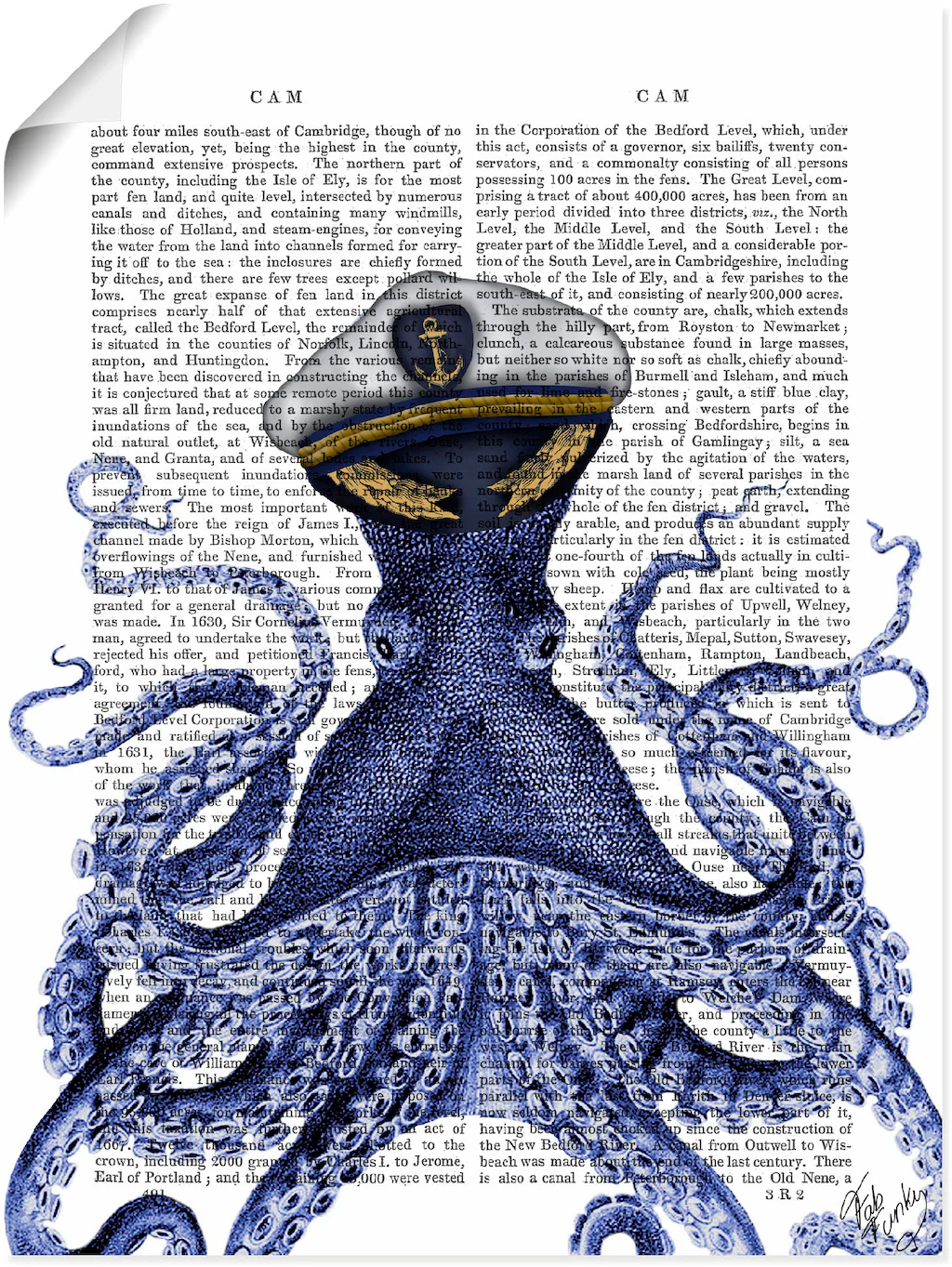 Artland Poster "Kapitän Oktopus", Wassertiere, (1 St.), als Alubild, Leinwa günstig online kaufen