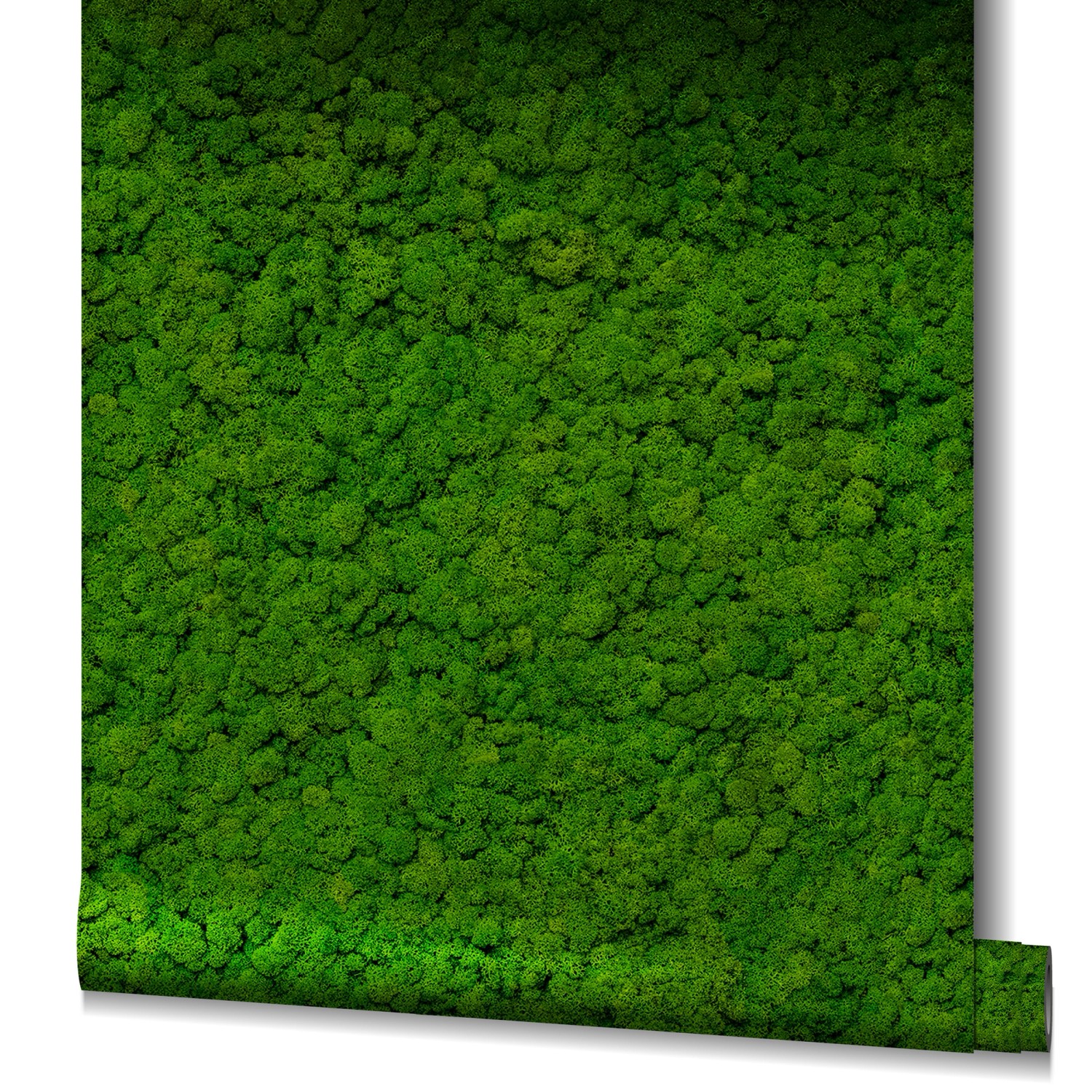 Marburg Vliestapete GZSZ Moos Floral 10,05 m x 0,53 m Grün FSC® günstig online kaufen