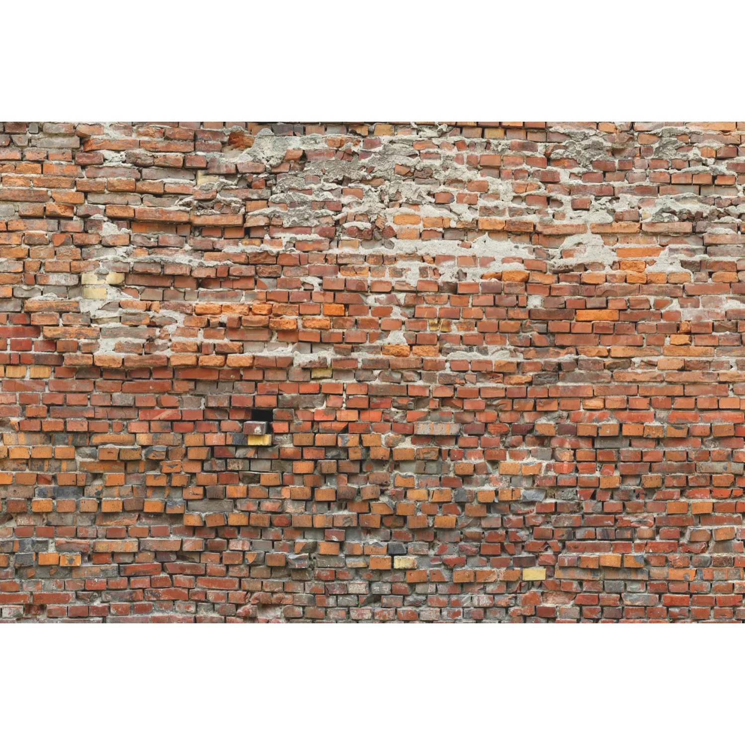 Komar Vliestapete »Bricklane«, 368x248 cm (Breite x Höhe), inklusive Kleist günstig online kaufen