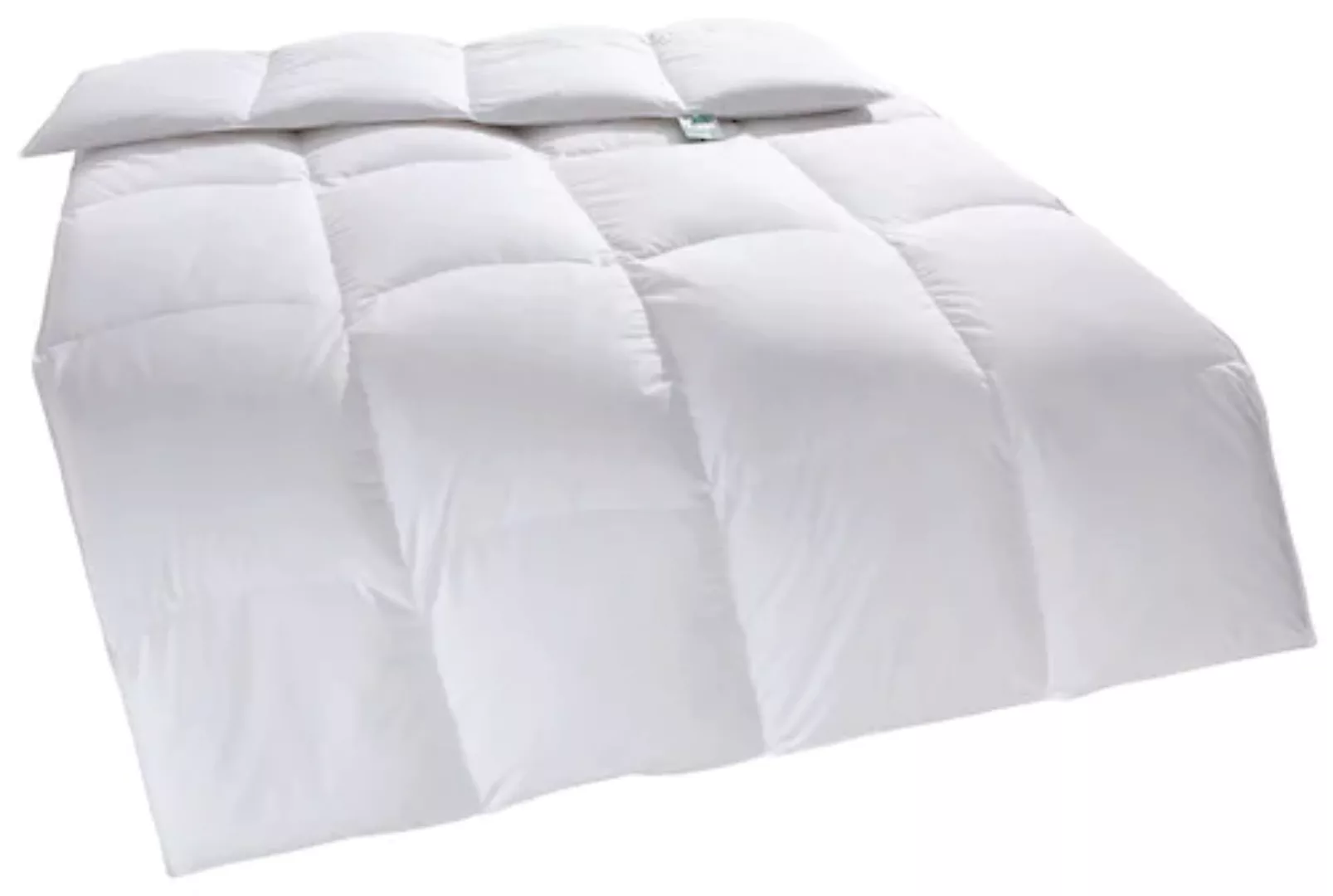 f.a.n. Schlafkomfort Daunenbettdecke »f.a.n. Canada«, warm, (1 St.) günstig online kaufen