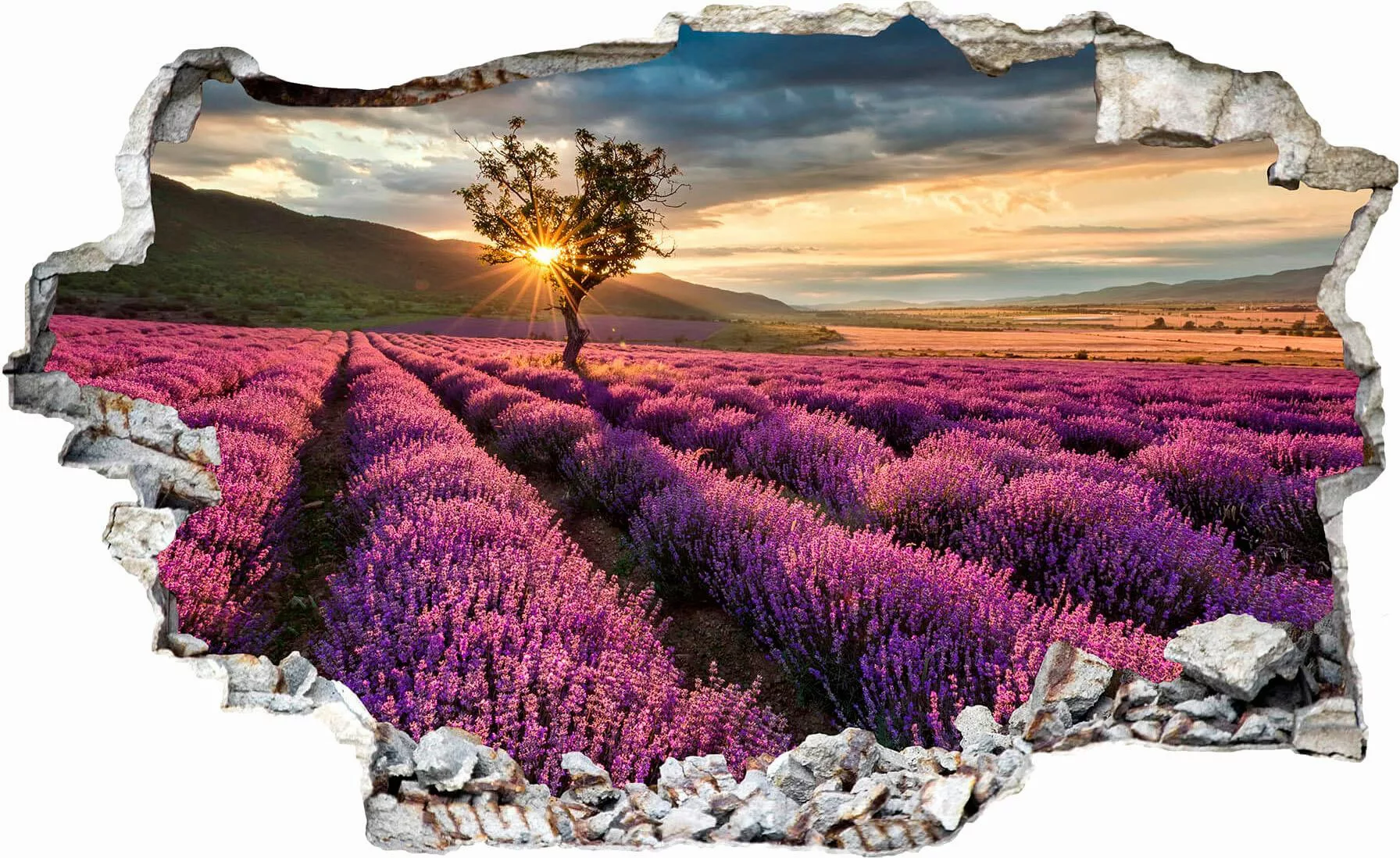 Wall-Art Wandtattoo "Lavendel in der Provence", selbstklebend, entfernbar günstig online kaufen