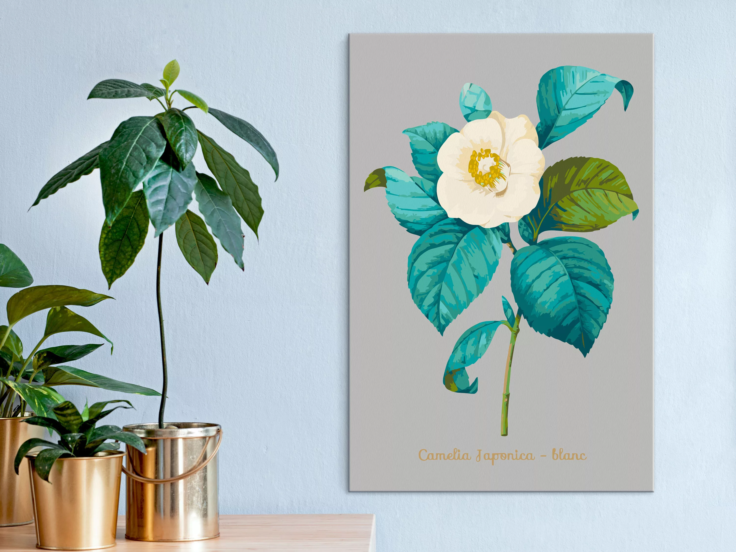 Malen Nach Zahlen - Beautiful Camellia günstig online kaufen