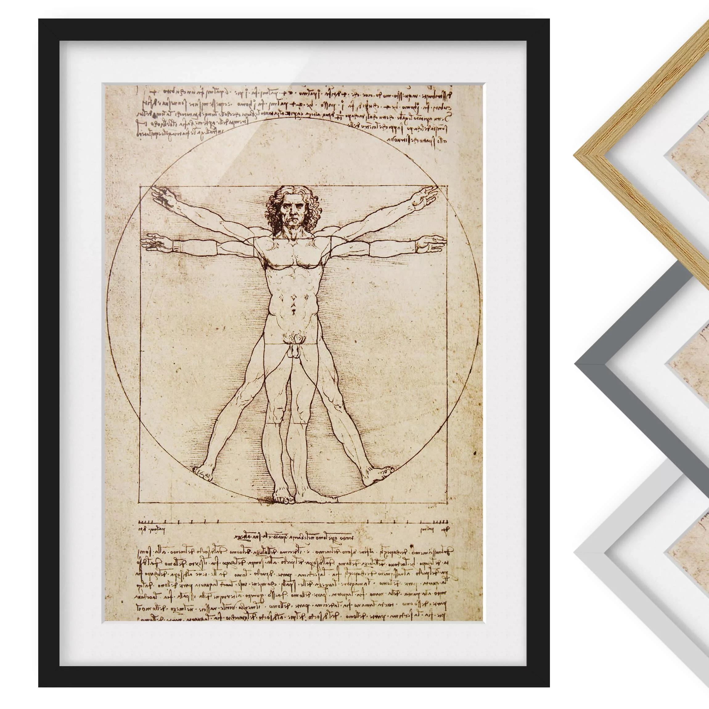 home24 Bild Da Vinci I günstig online kaufen