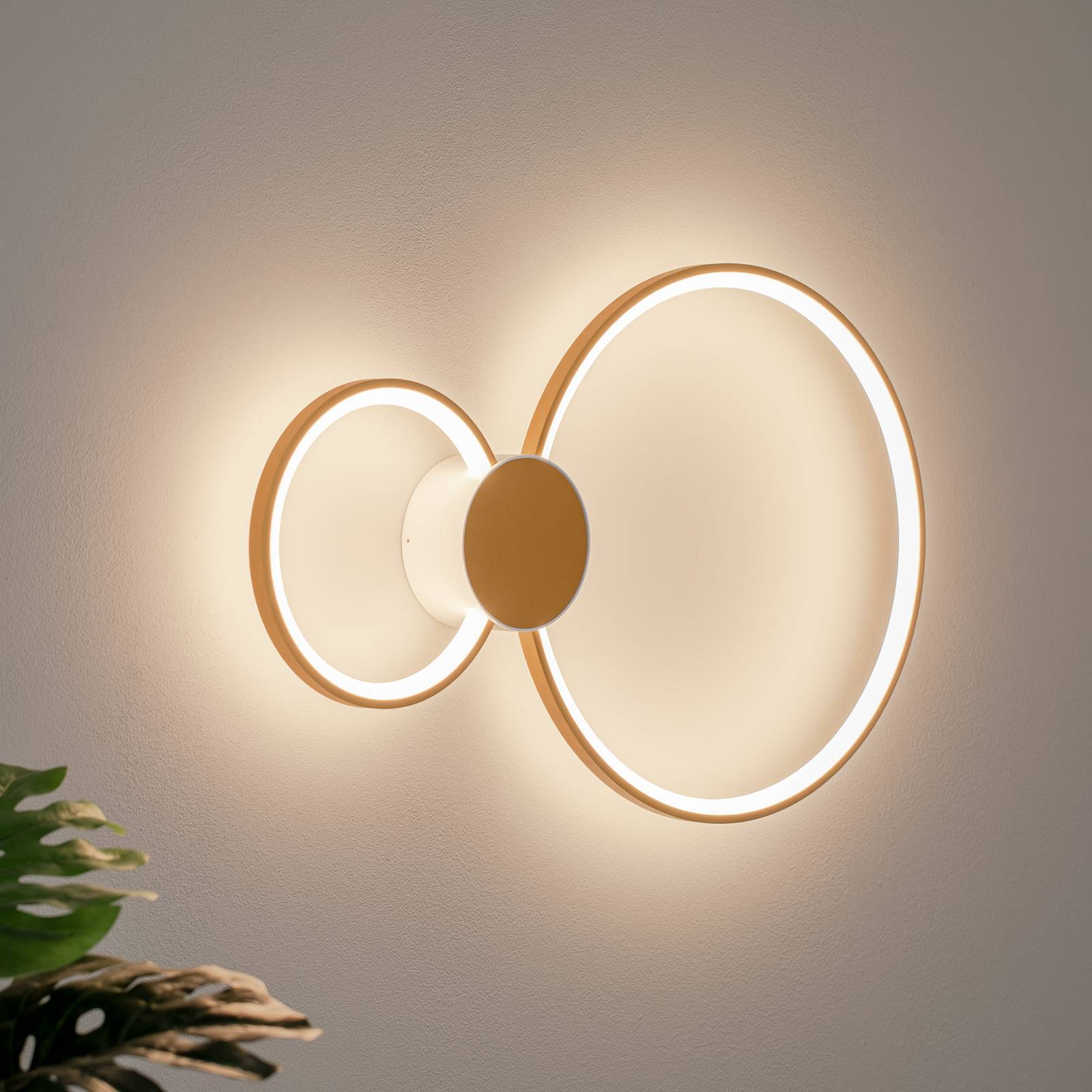 BEGA LED-Wandleuchte 51298.4 , samtmessing, Metall, DALI günstig online kaufen