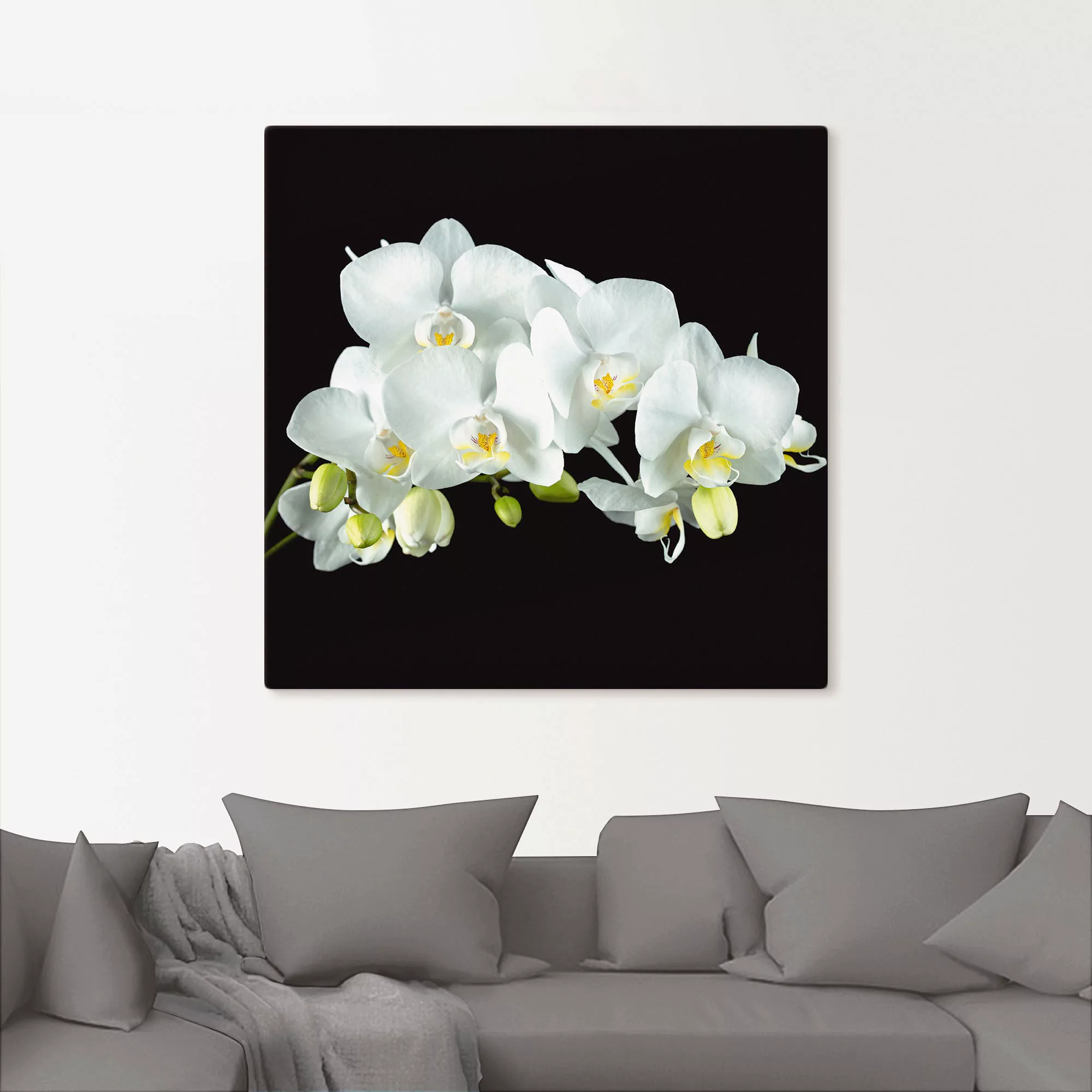 Artland Wandbild "Weiße Orchidee auf schwarzem Hintergrund", Blumen, (1 St. günstig online kaufen