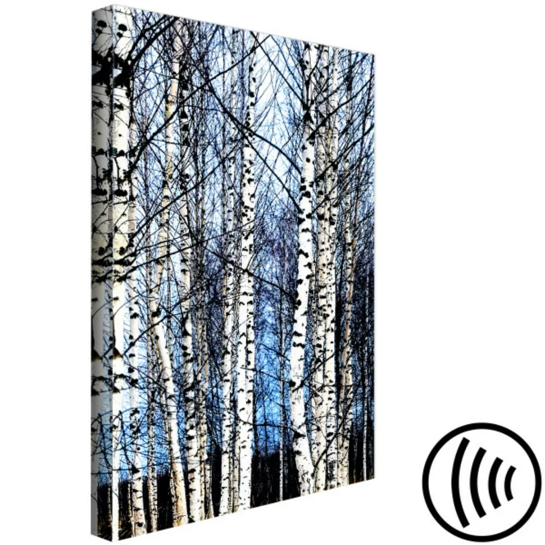 Wandbild Birken im Winter - Waldlandschaft mit hellblauem Himmel im Hinterg günstig online kaufen