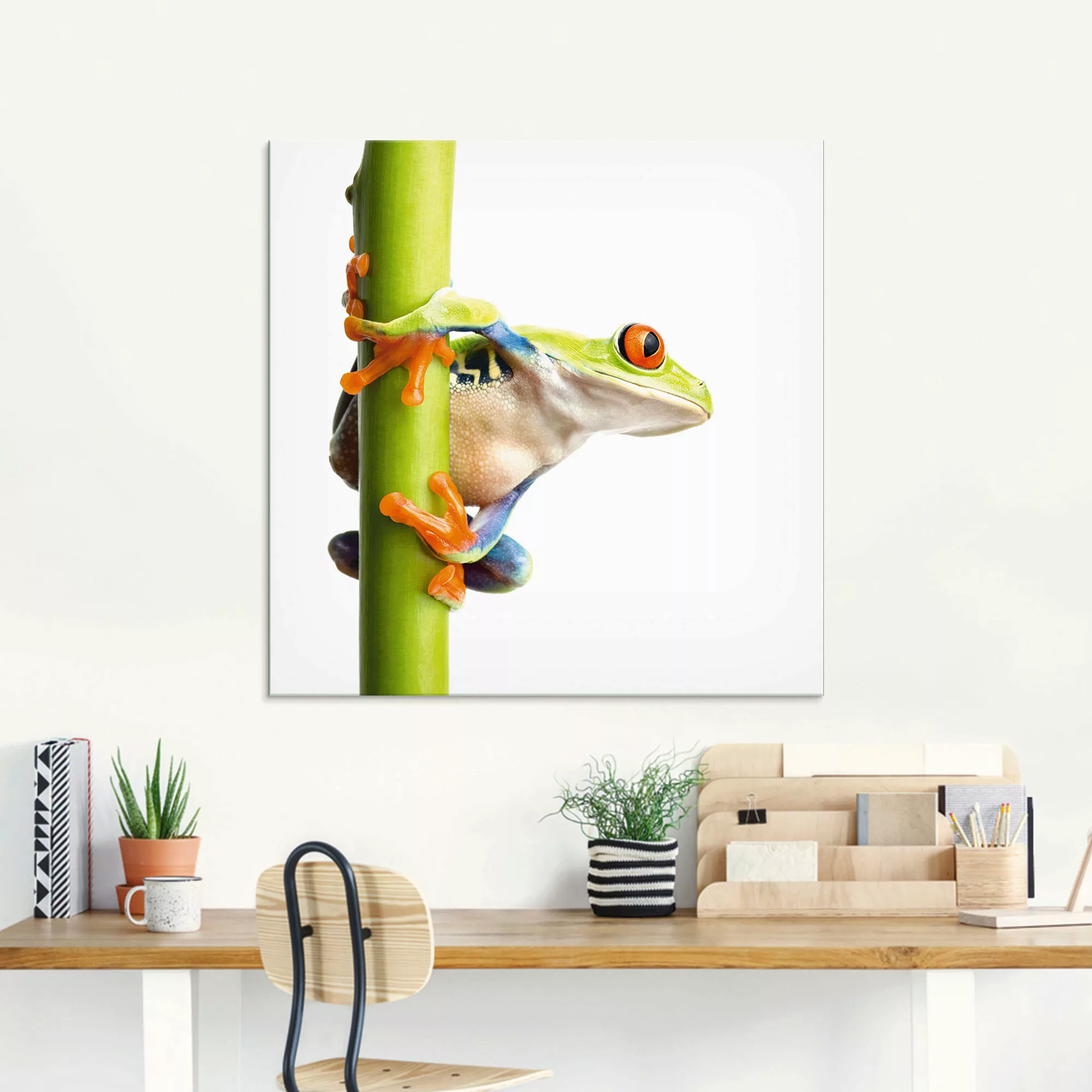 Artland Glasbild "Frosch umfasst einen Pflanzenstengel", Wassertiere, (1 St günstig online kaufen