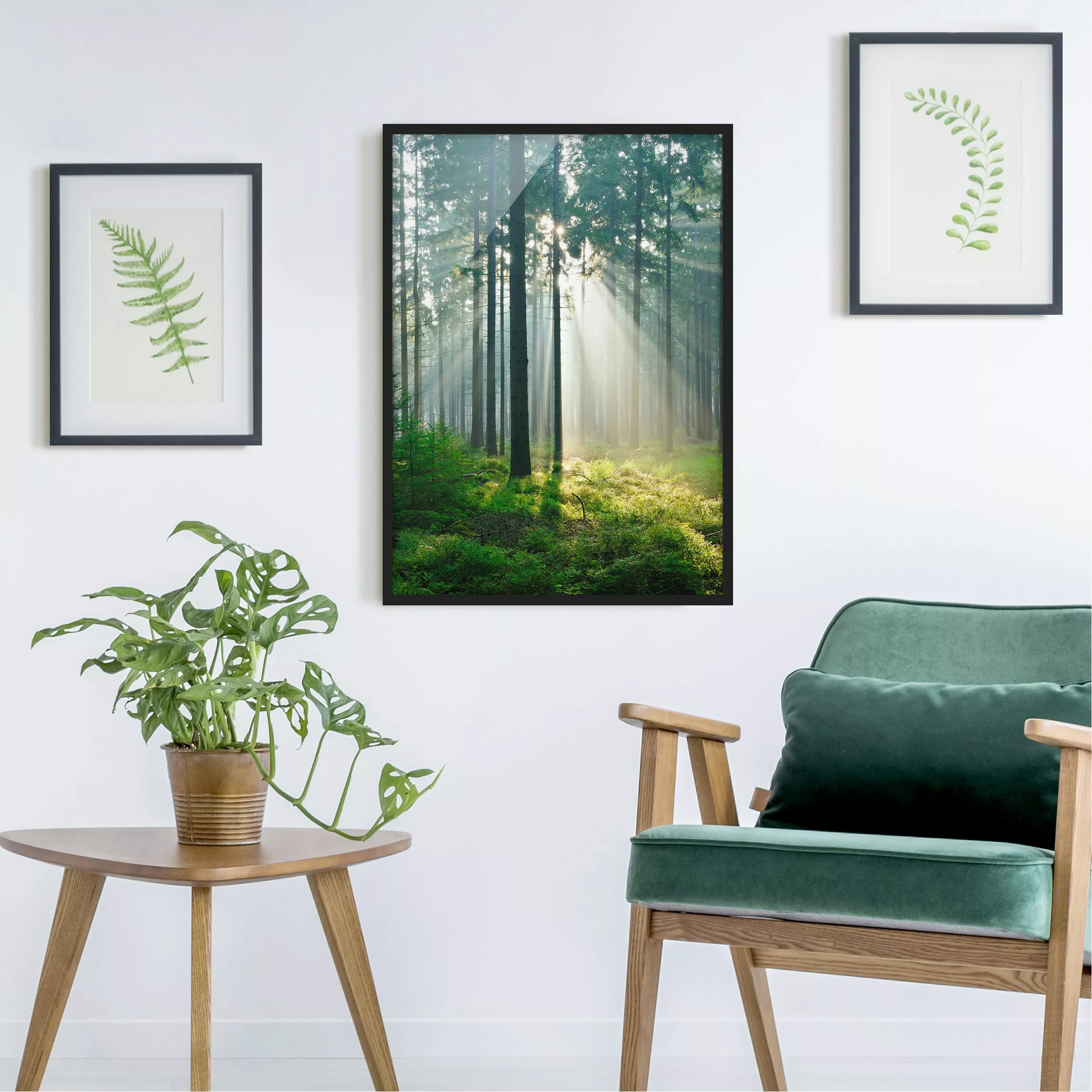 Bild mit Rahmen Natur & Landschaft - Hochformat Enlightened Forest günstig online kaufen