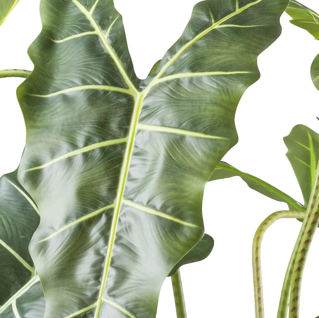 Creativ green Kunstpflanze "Alocasia zebrina sarian", mit gestreiftem Stamm günstig online kaufen