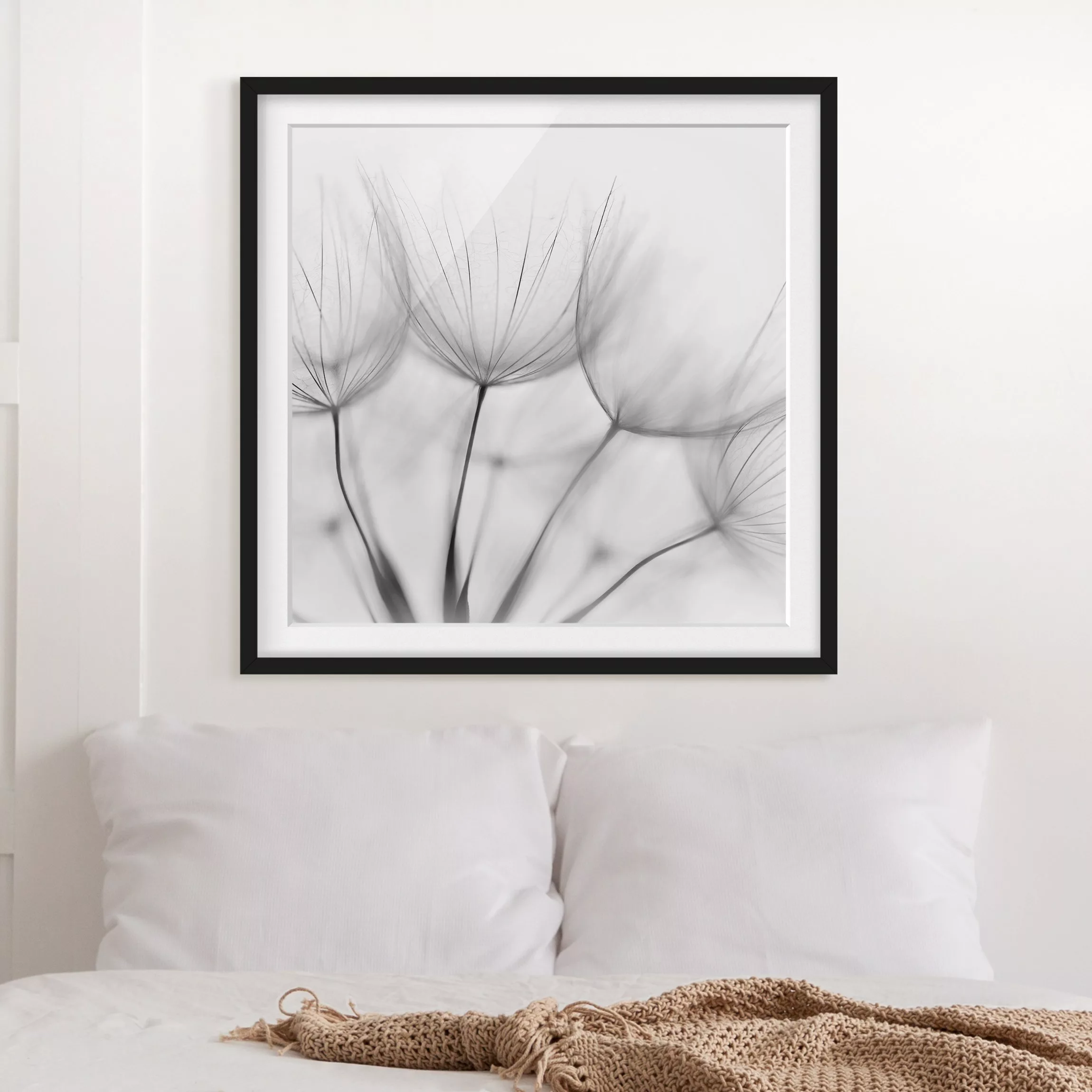Bild mit Rahmen In einer Pusteblume Schwarz-Weiß günstig online kaufen