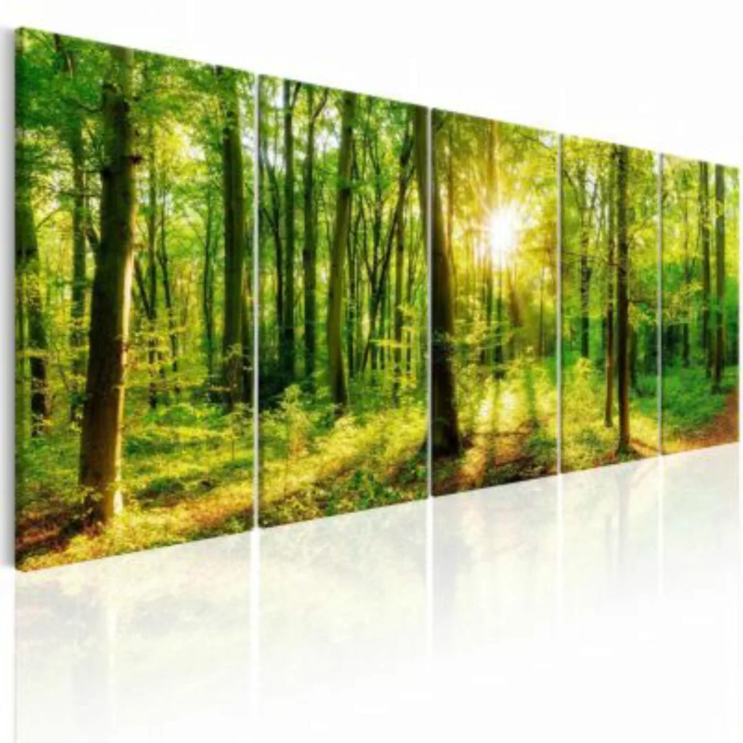 artgeist Wandbild Magic Forest mehrfarbig Gr. 200 x 80 günstig online kaufen