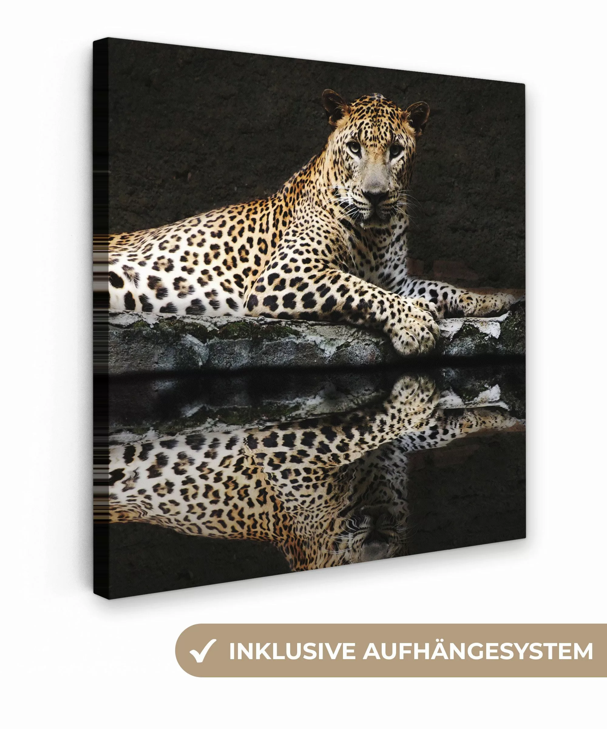 OneMillionCanvasses® Leinwandbild Leopard - Wasser - günstig online kaufen