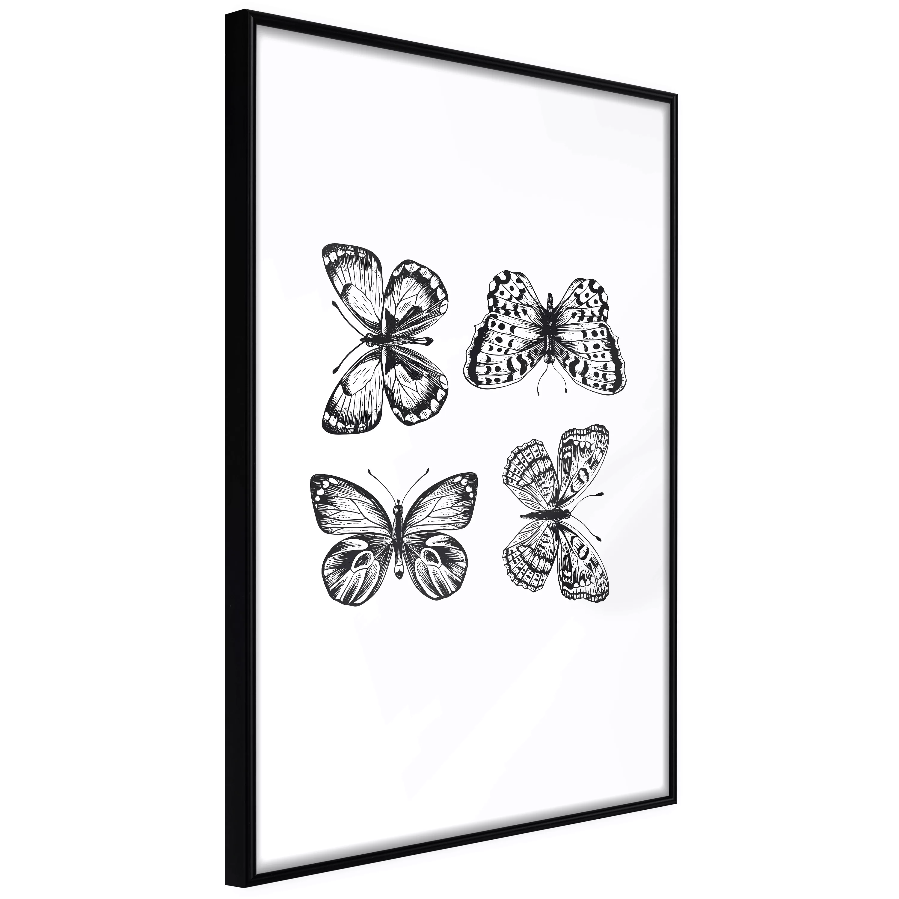 Poster - Butterfly Collection Iii günstig online kaufen