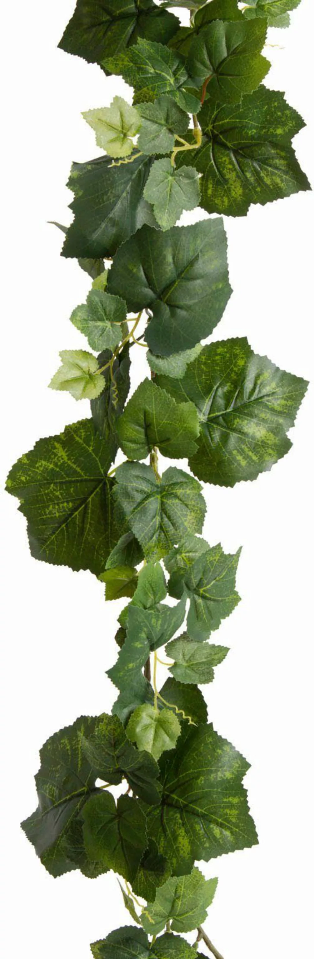 Kunstranke Weinlaubgirlande, Botanic-Haus, Höhe 195 cm günstig online kaufen