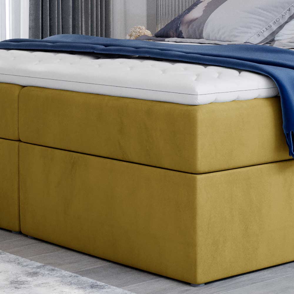 Boxspringbett Polsterbett aus Samt in Senfgelb günstig online kaufen