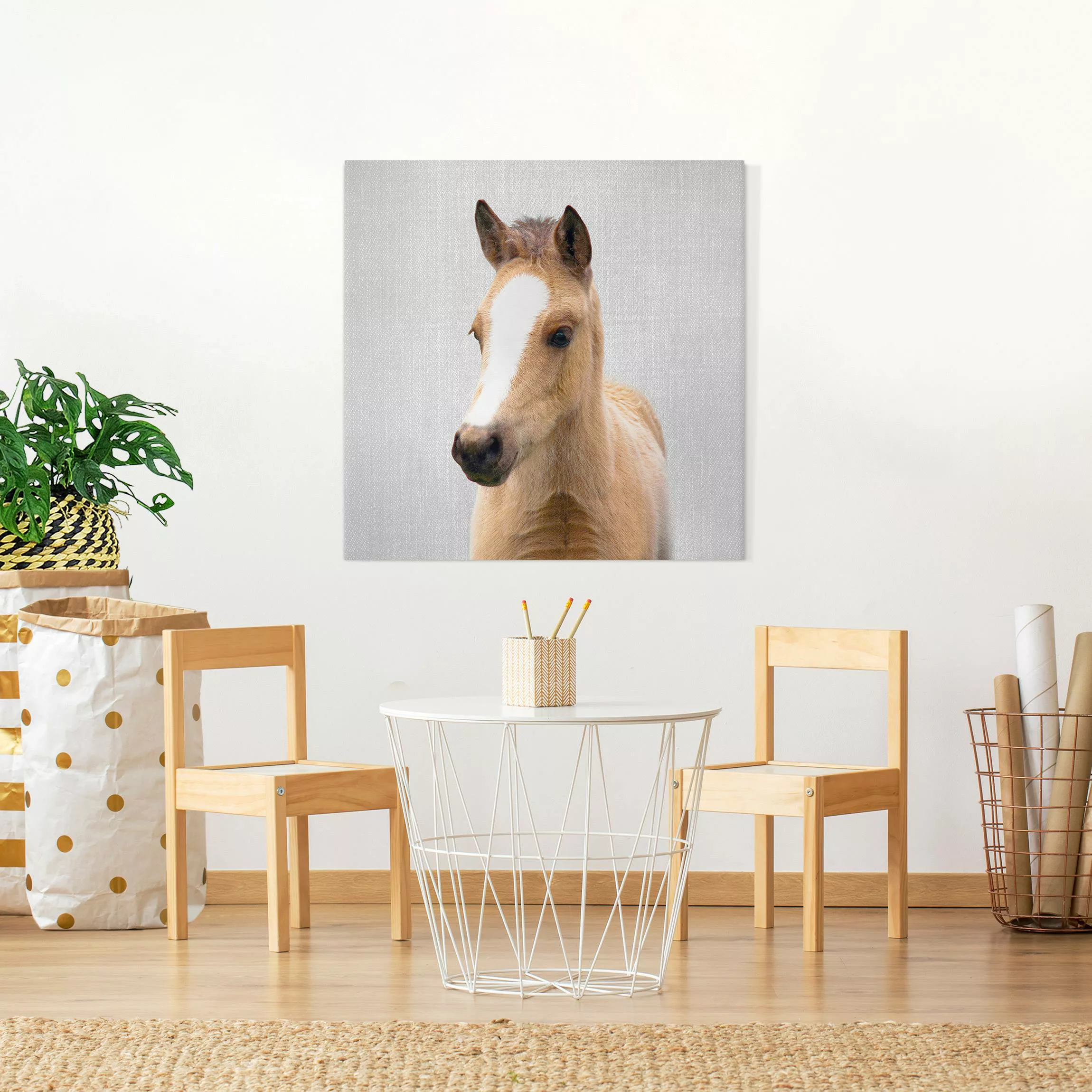 Leinwandbild Baby Pferd Philipp günstig online kaufen