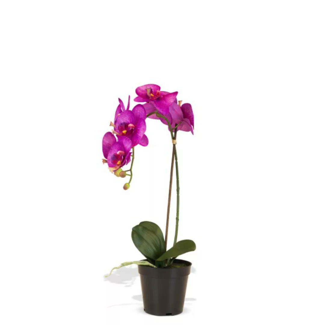 Orchidee Kunstpflanze, Höhe 50 cm, pink günstig online kaufen