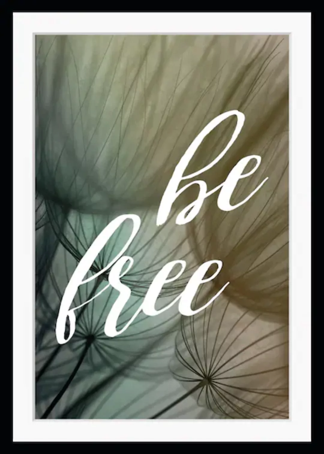 queence Bild »be free«, Sprüche & Texte, gerahmt, Pusteblume, Spruch günstig online kaufen