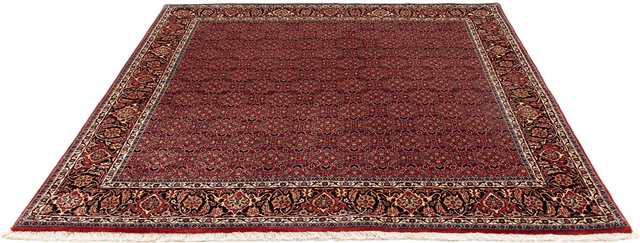 morgenland Orientteppich »Perser - Bidjar quadratisch - 200 x 197 cm - dunk günstig online kaufen