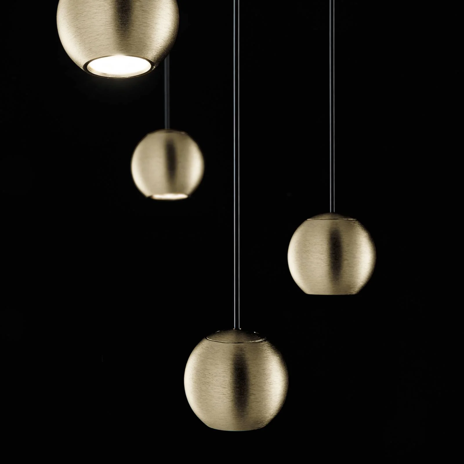 LED-Hängelampe Magnetic rund 8-flg. schwarz/gold günstig online kaufen