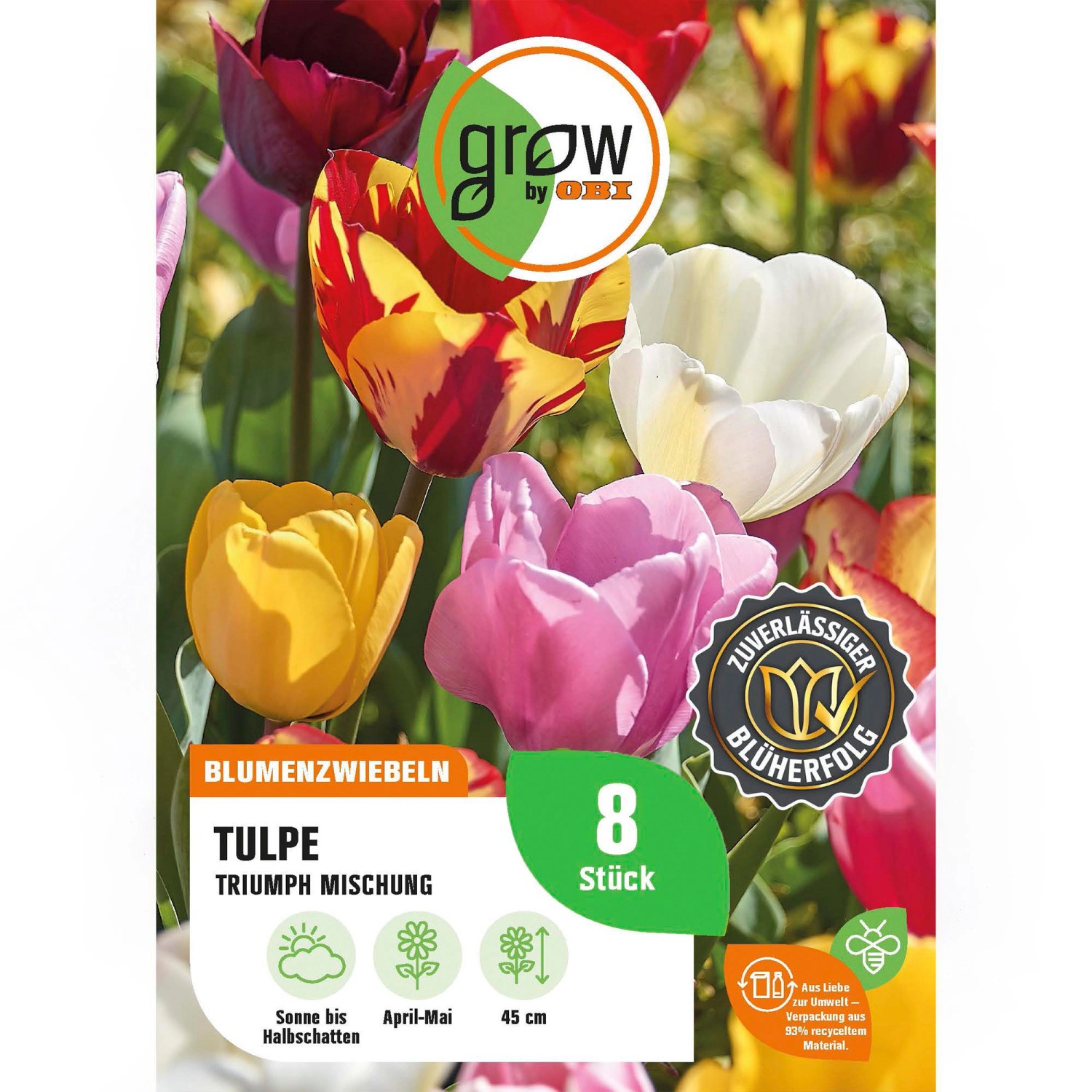 GROW by OBI Tulpen Triumph Mischung Mischung 8 Stück Tulipa triumph Mixed günstig online kaufen