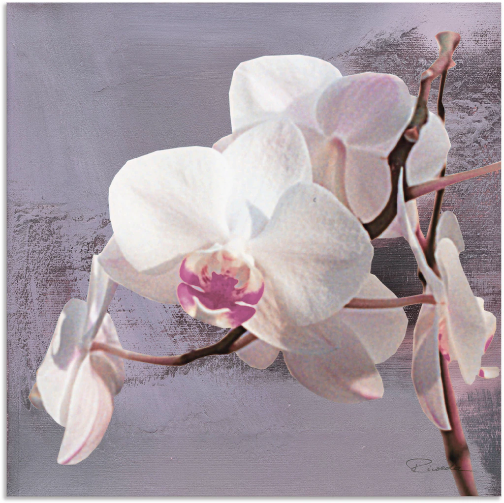 Artland Wandbild "Orchideen vor Violett I", Blumen, (1 St.), als Alubild, O günstig online kaufen