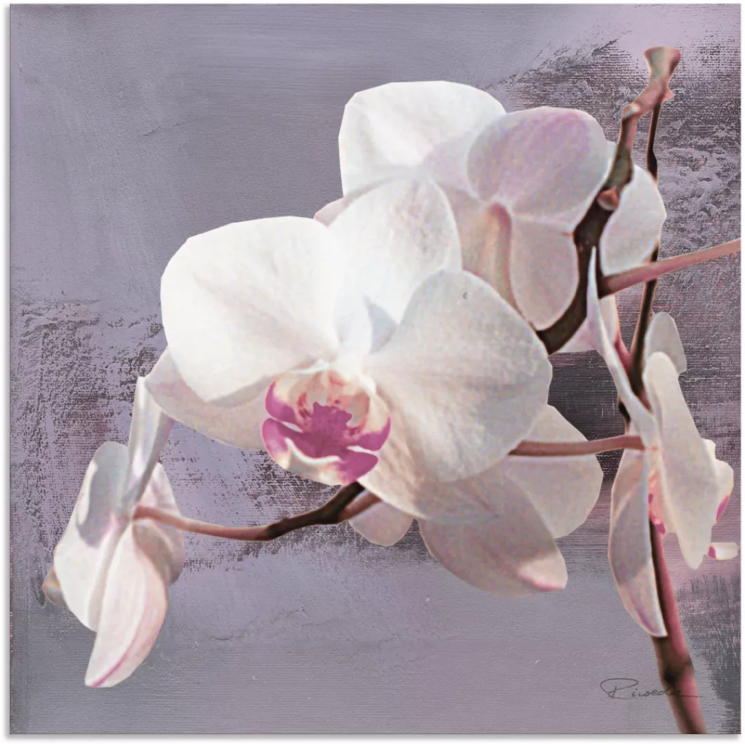 Artland Wandbild "Orchideen vor Violett I", Blumen, (1 St.) günstig online kaufen