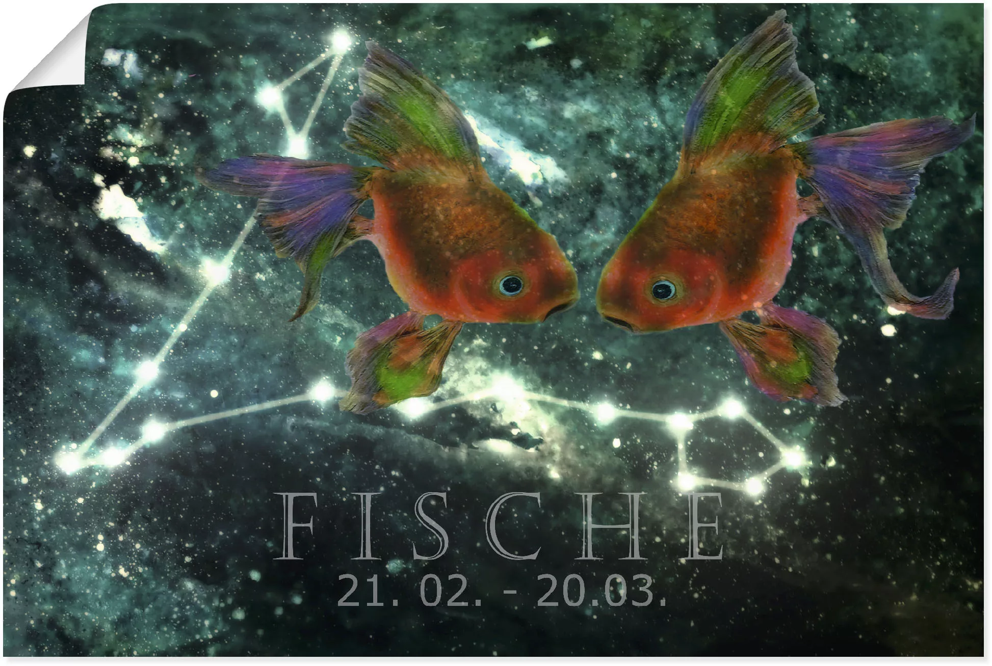 Artland Wandbild »Sternzeichen - Fische«, Bilder von Sternzeichen, (1 St.), günstig online kaufen