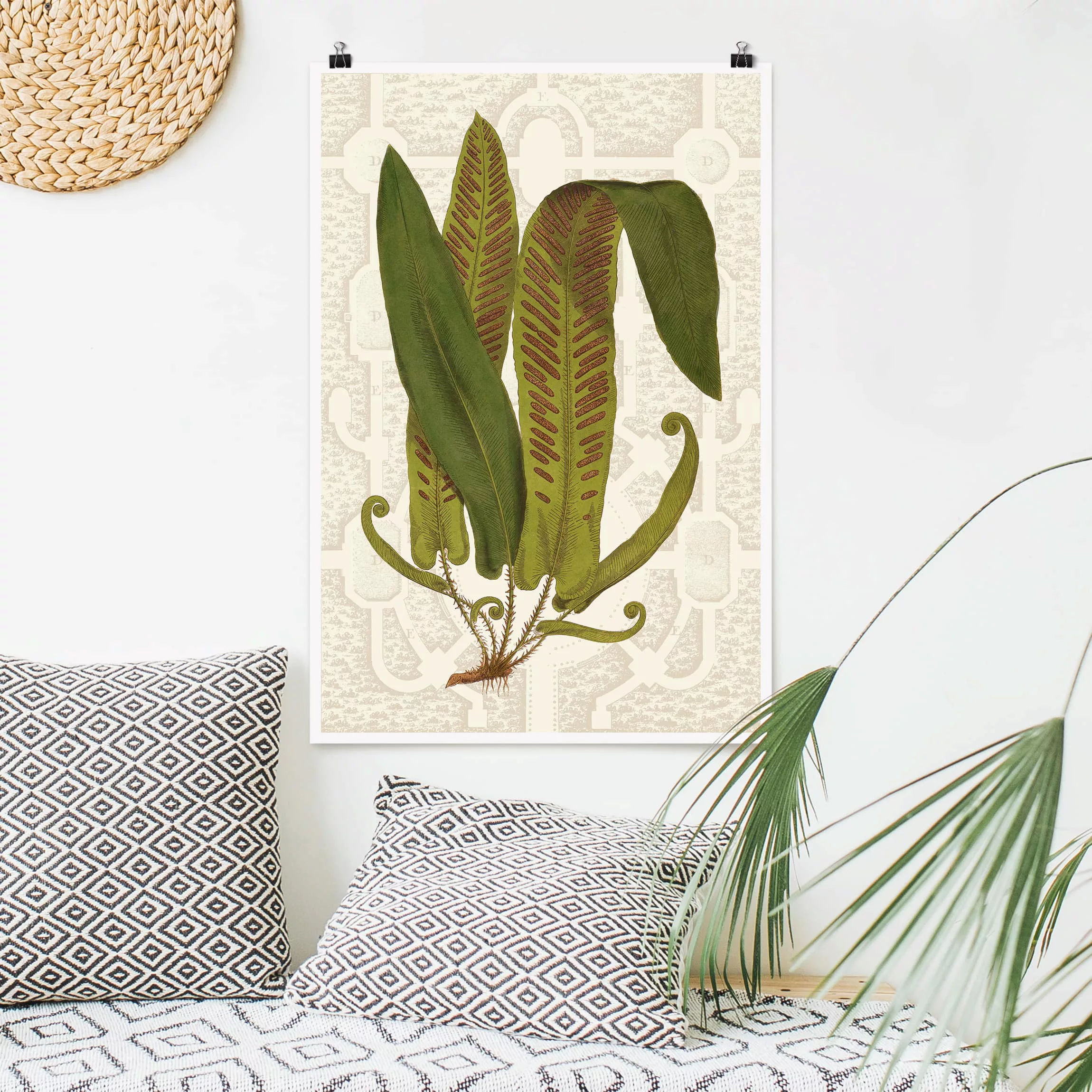 Poster Blumen - Hochformat Farne des Gartens I günstig online kaufen