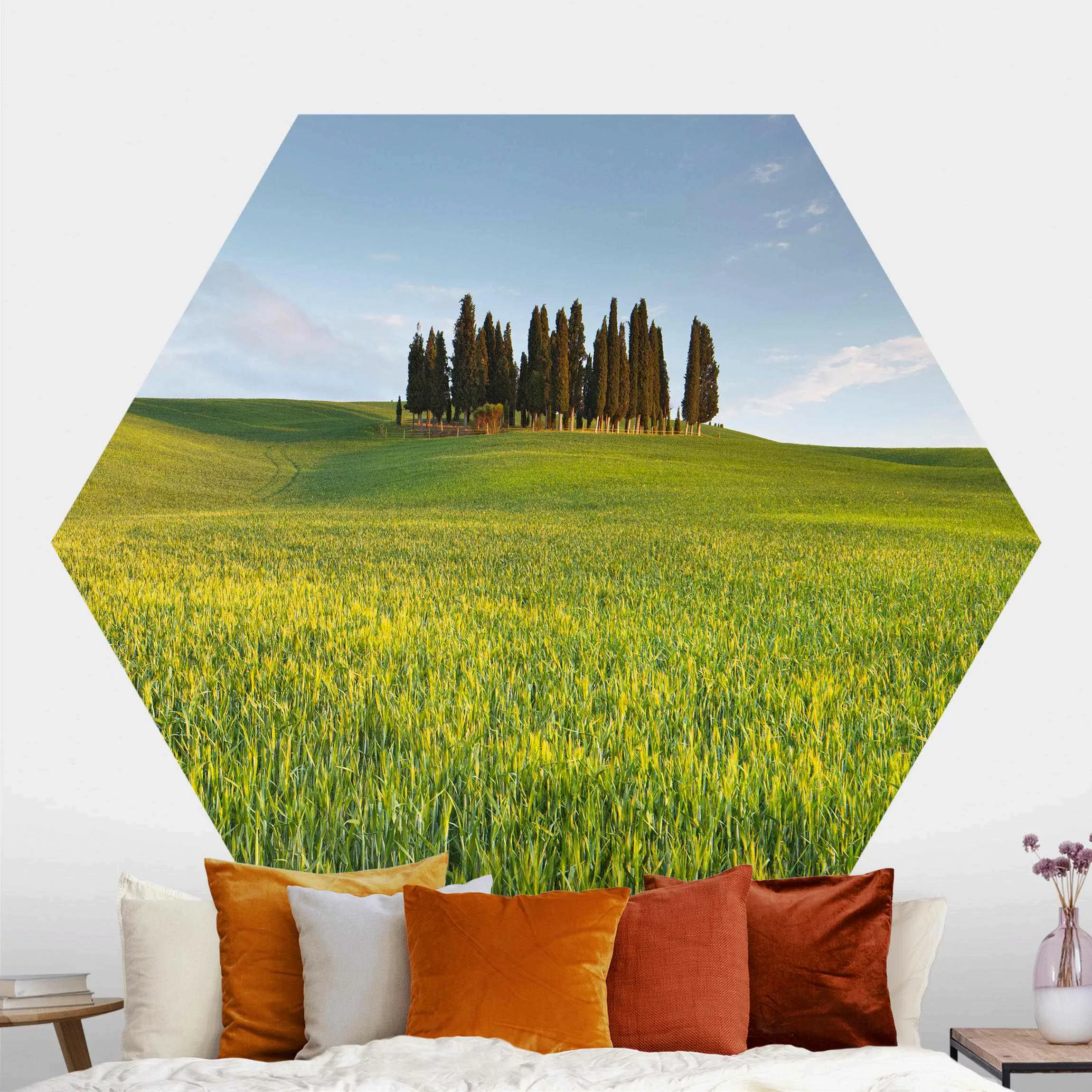 Hexagon Fototapete selbstklebend Grünes Feld in Toskana günstig online kaufen