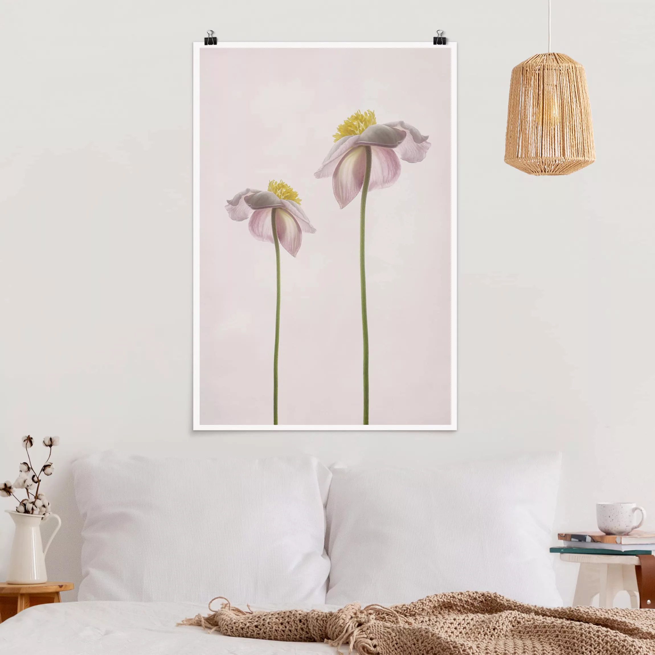 Poster Blumen - Hochformat Rosa Anemonenblüten günstig online kaufen