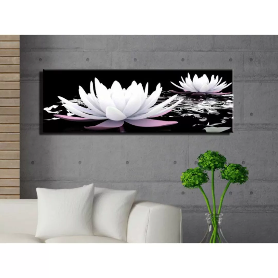 Bild auf Leinwand White water lilies XXL günstig online kaufen