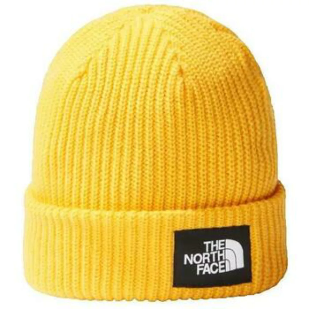 The North Face  Mütze Salty Lined Summit günstig online kaufen