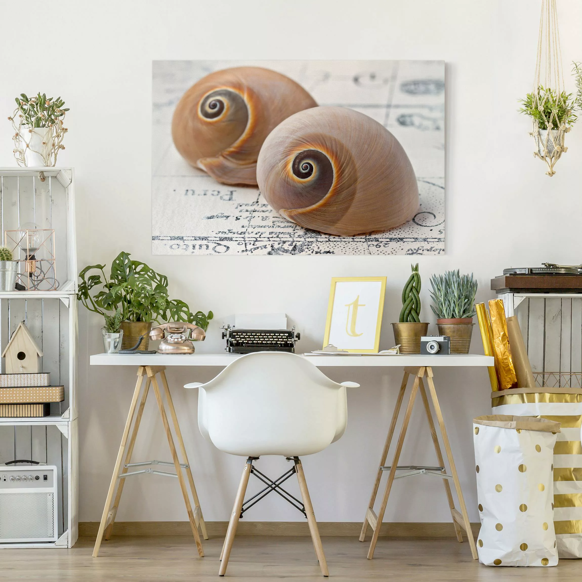 Leinwandbild Muschelduo günstig online kaufen