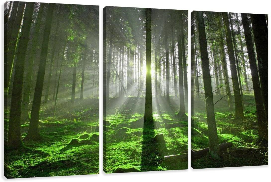 Visario Bild 3 er Set auf günstig online kaufen