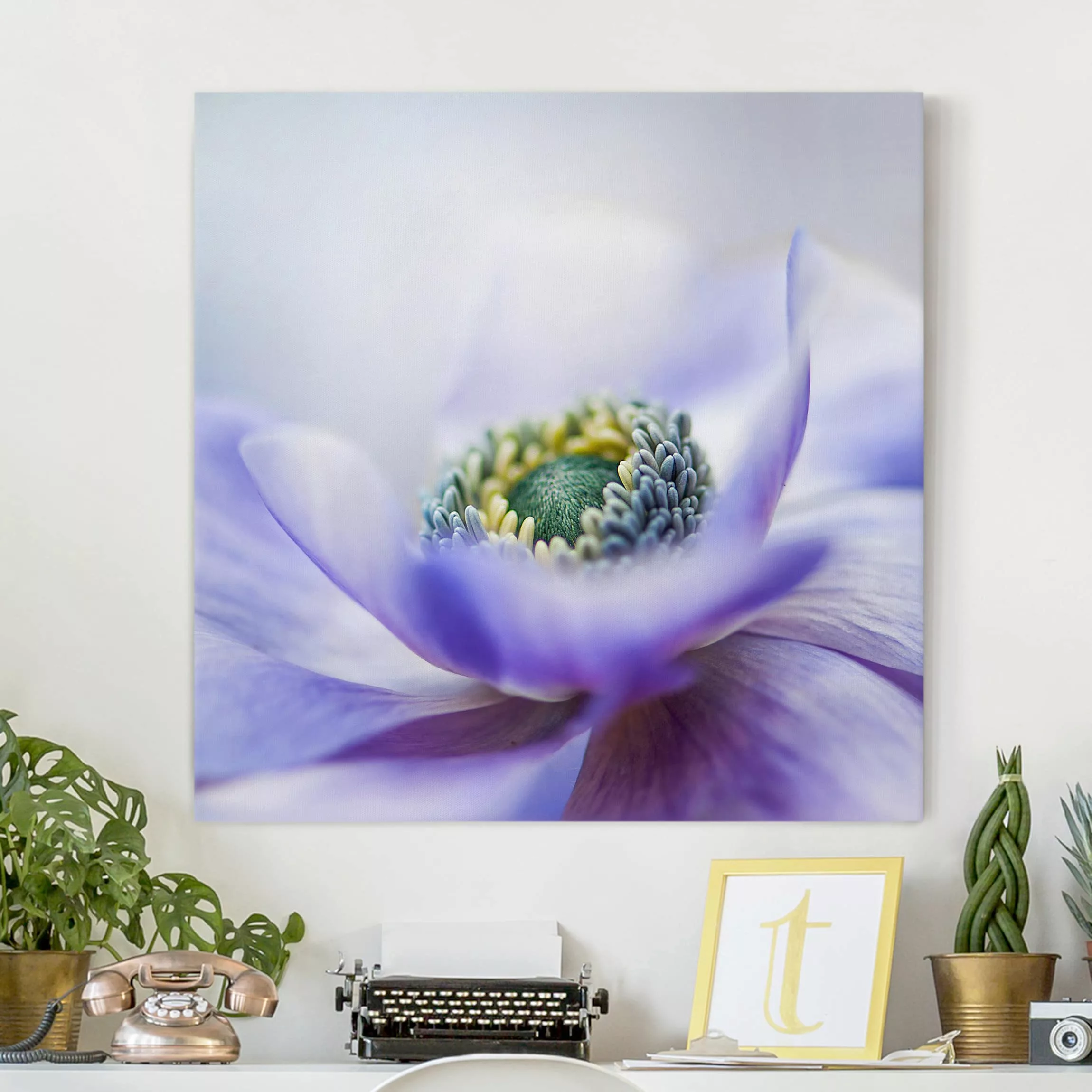 Leinwandbild Blumen - Quadrat Anemone De Caen günstig online kaufen