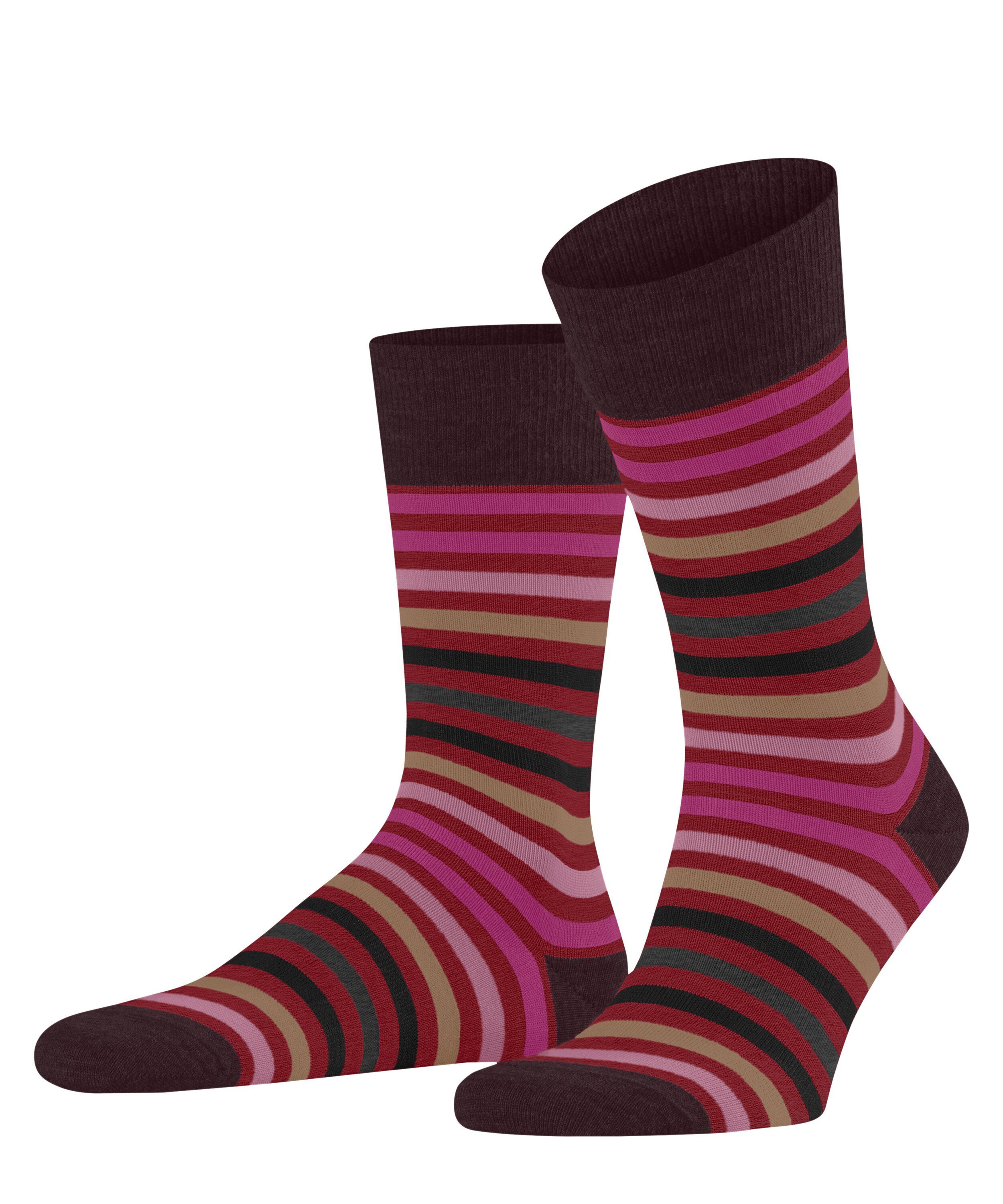 FALKE Socken Tinted Stripe (1-Paar) mit günstig online kaufen