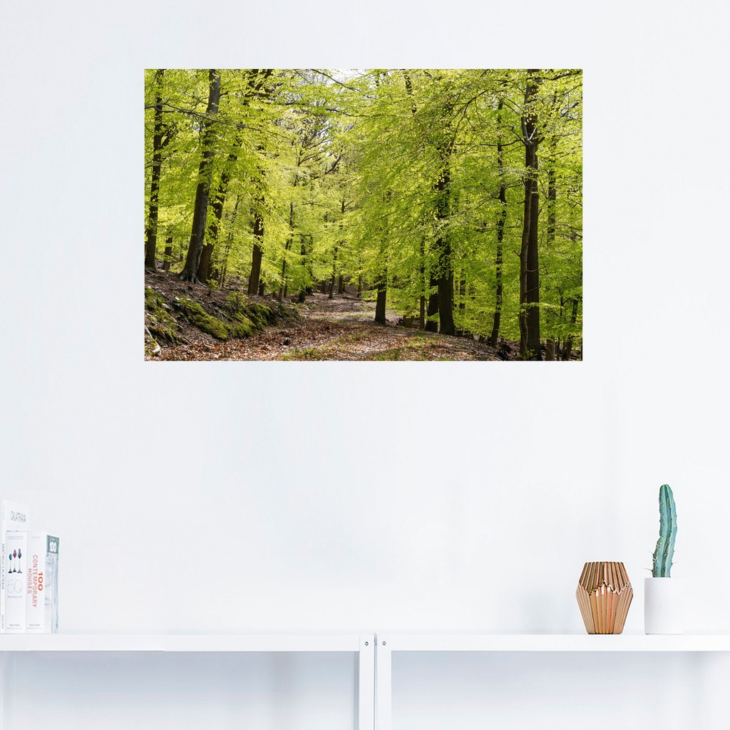 Artland Wandbild "Die Buchen im Frühling", Wald, (1 St.), als Alubild, Outd günstig online kaufen