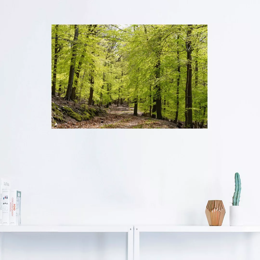 Artland Wandbild »Die Buchen im Frühling«, Wald, (1 St.), als Alubild, Outd günstig online kaufen