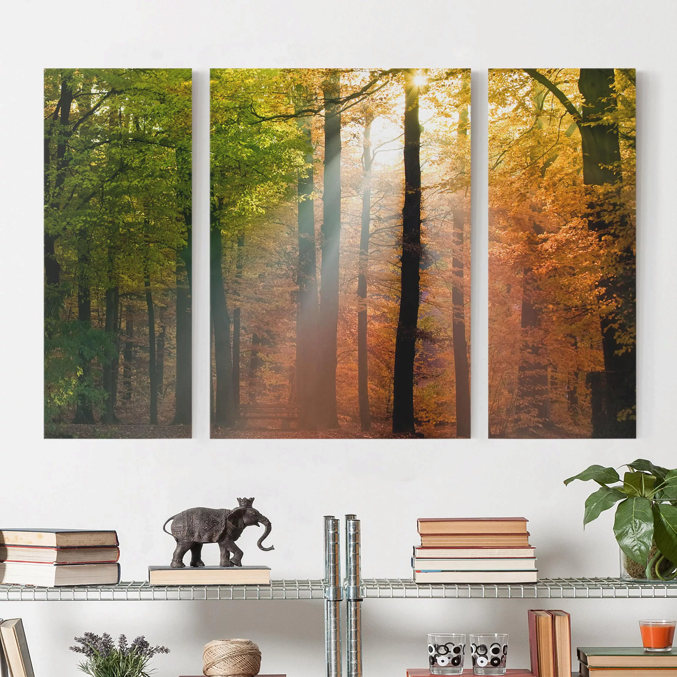 3-teiliges Leinwandbild Wald - Querformat Morning Light günstig online kaufen