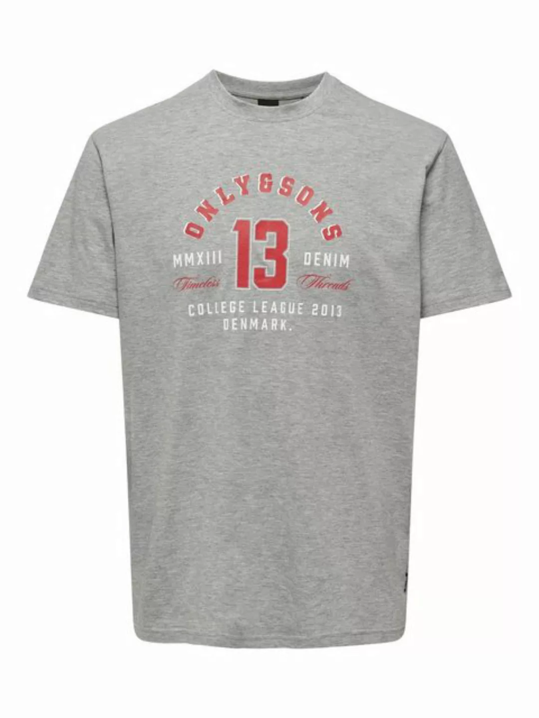 ONLY & SONS Rundhalsshirt ONSLENNY LIFE REG VINTAGE PRINT TEE NOOS günstig online kaufen