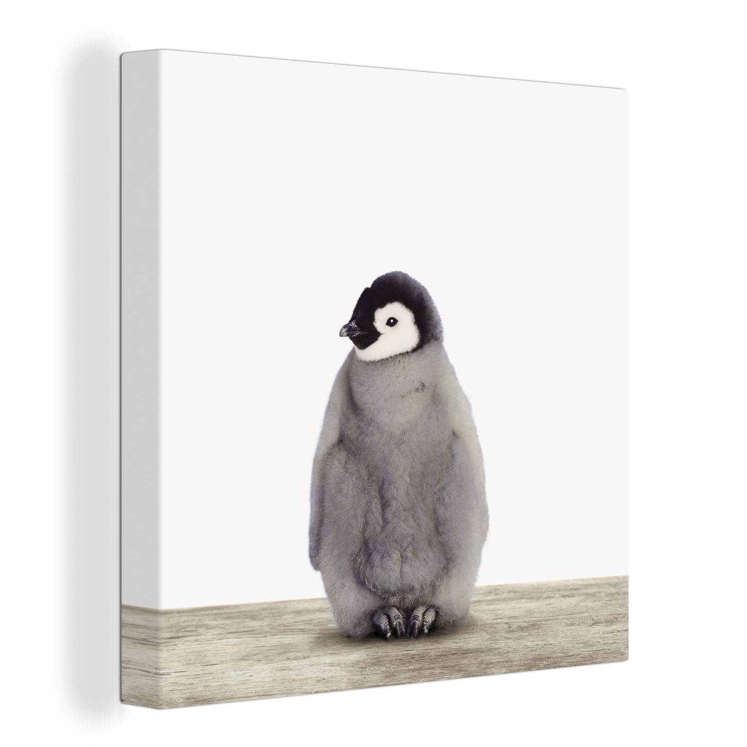 OneMillionCanvasses® Leinwandbild Kinder - Pinguin - günstig online kaufen