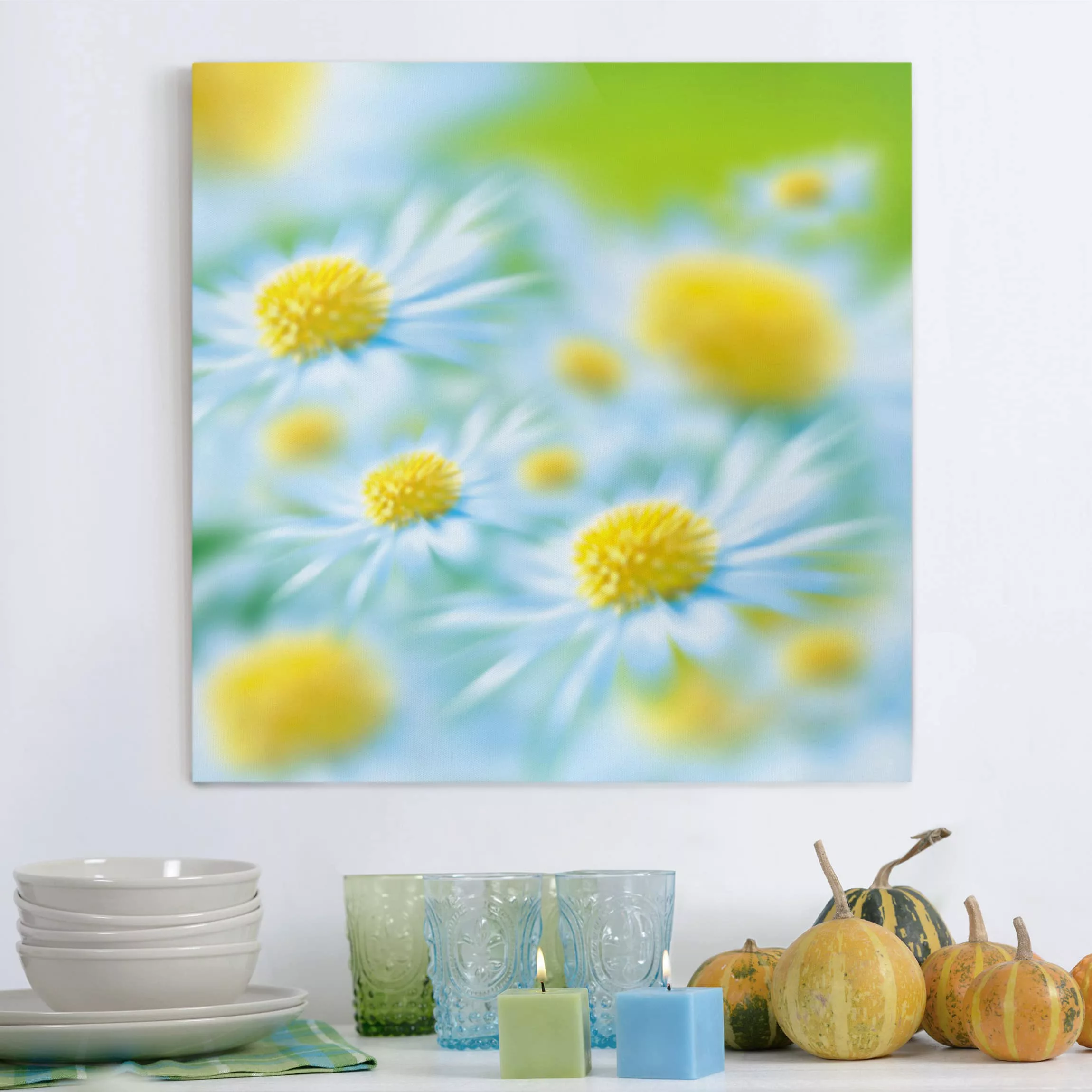 Leinwandbild Blumen - Quadrat Daisy günstig online kaufen