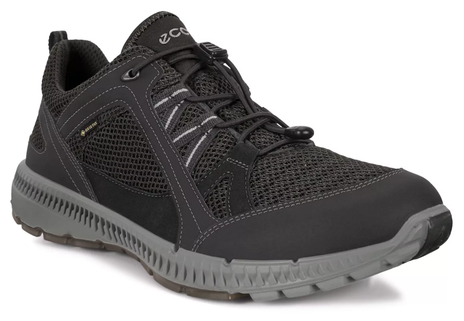 Ecco Sneaker "TERRACRUISE 2 M", mit GORE-TEX günstig online kaufen