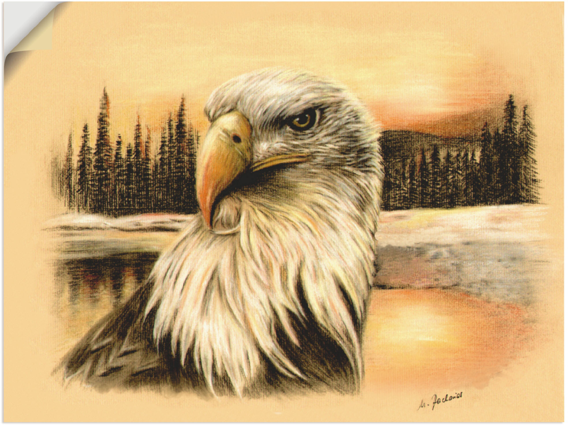 Artland Wandbild »Weißkopfseeadler handgemalt«, Vögel, (1 St.), als Alubild günstig online kaufen
