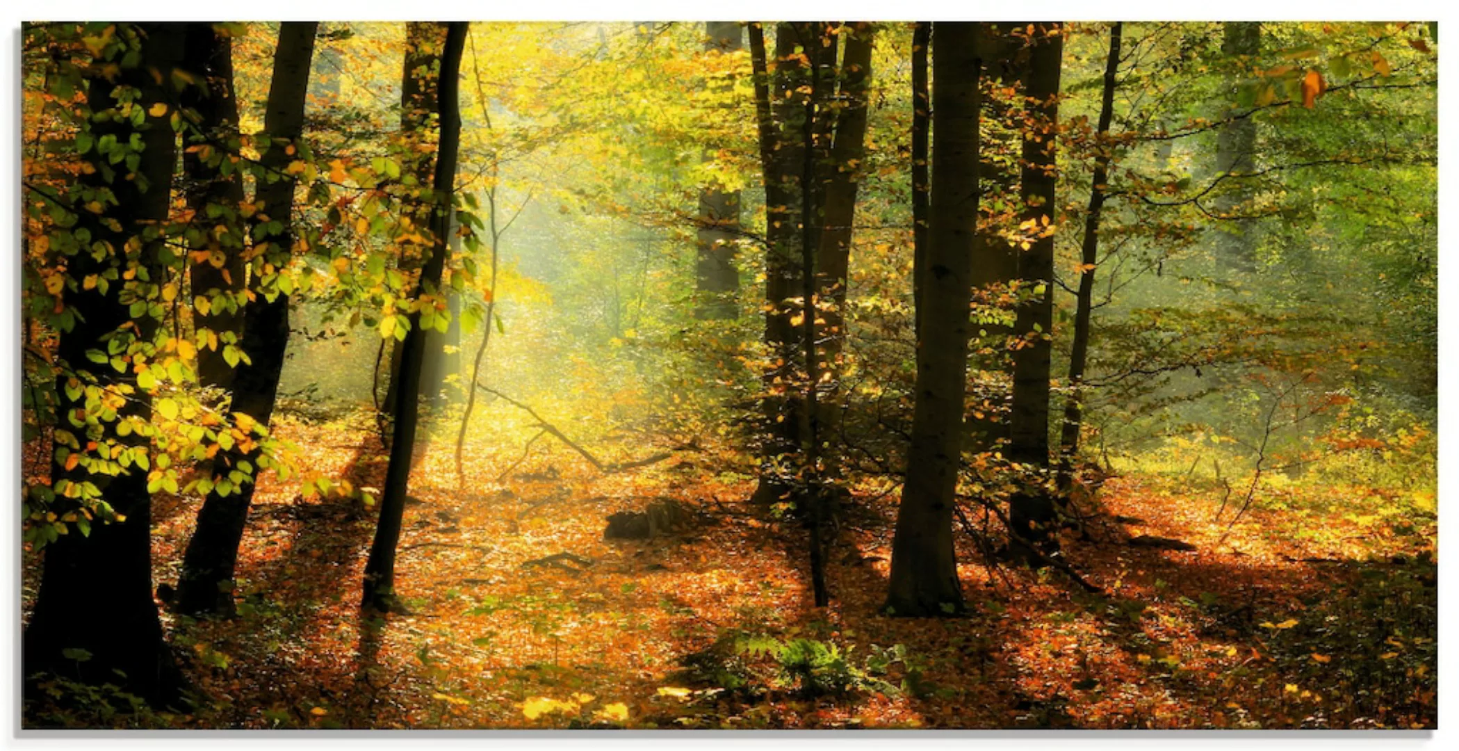 Artland Glasbild "Herbstlicht im Wald", Wald, (1 St.) günstig online kaufen