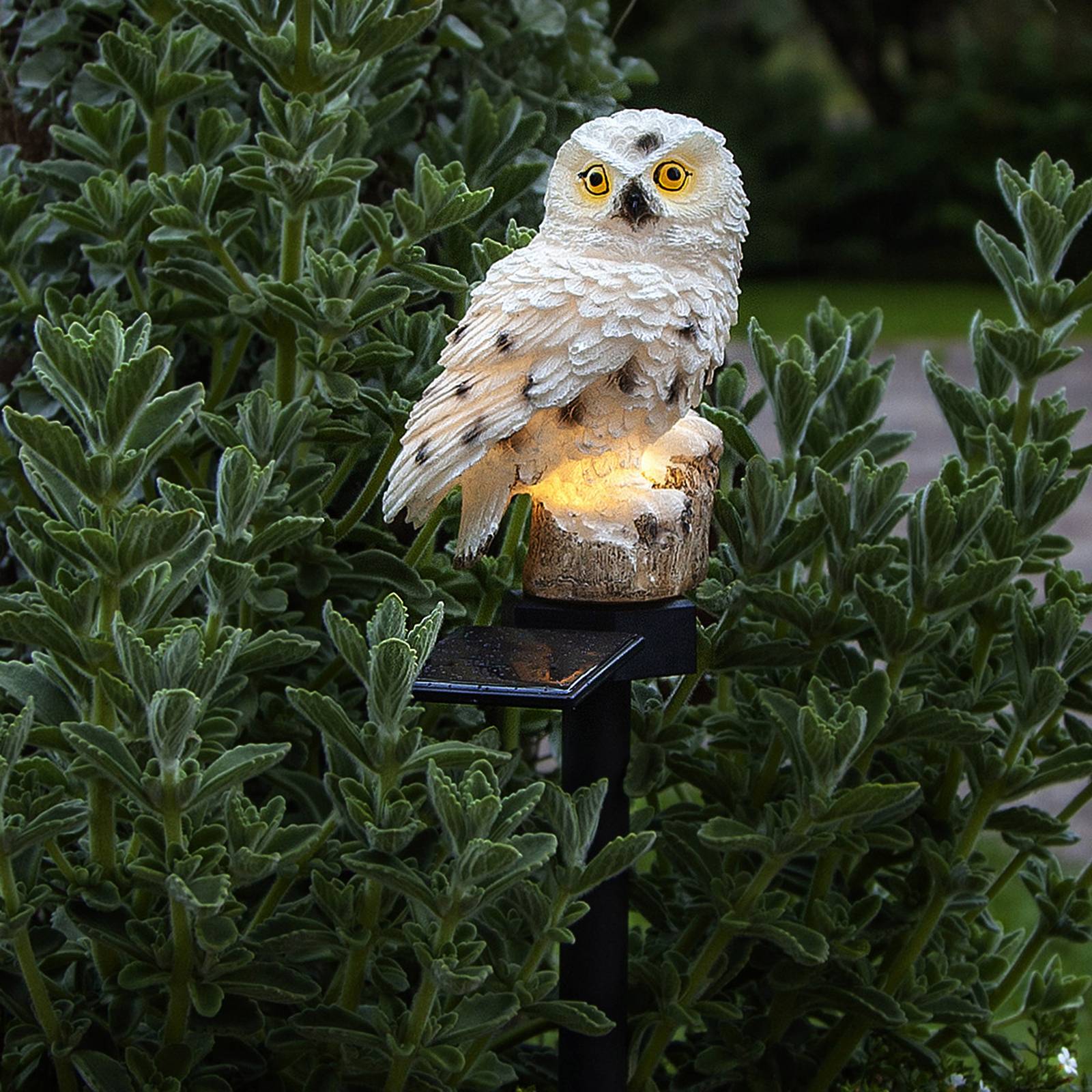 LED-Solarleuchte Owl mit Erdspieß günstig online kaufen