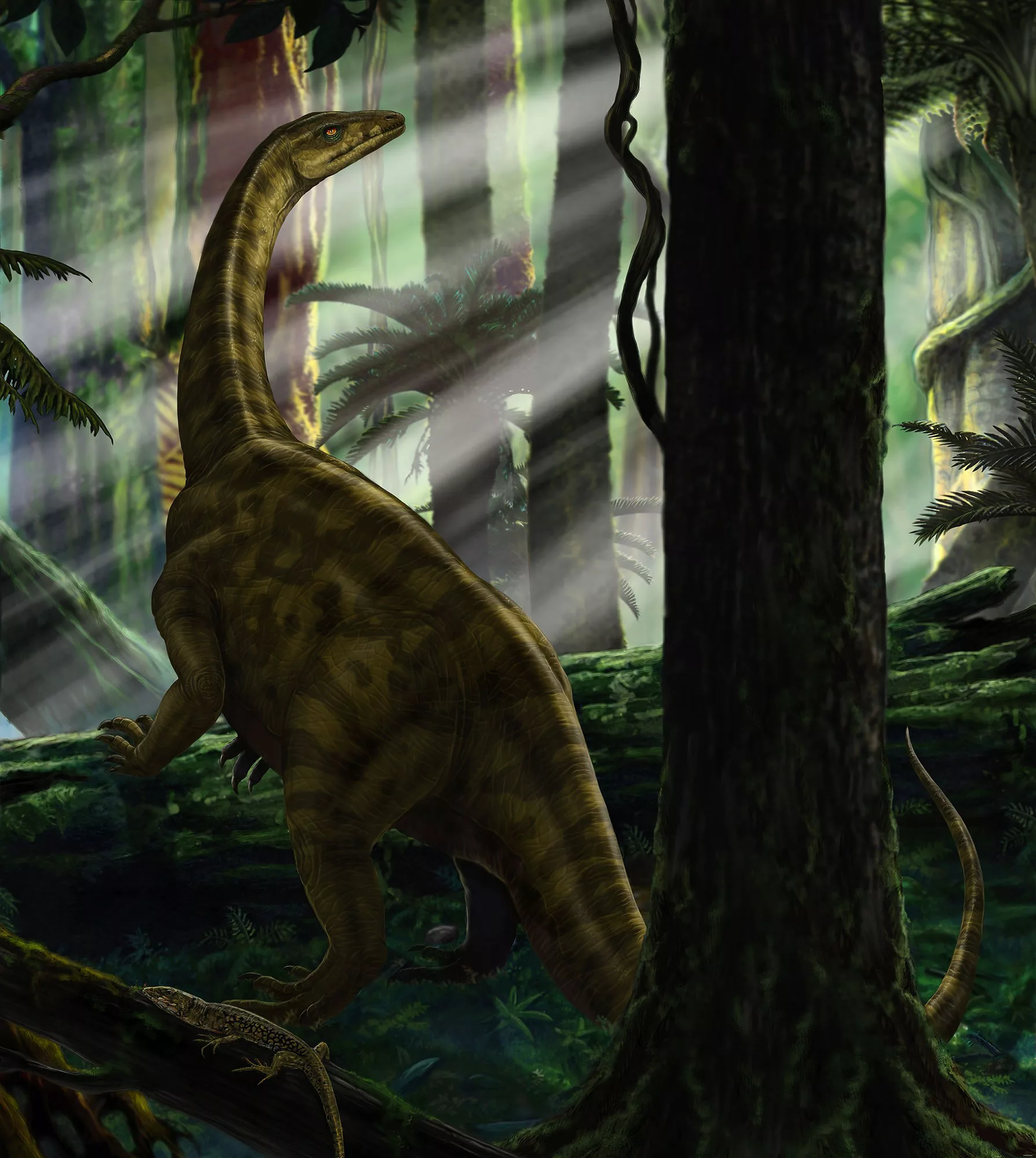 KOMAR Vlies Fototapete - Riojasaurus Forest - Größe 250 x 280 cm mehrfarbig günstig online kaufen
