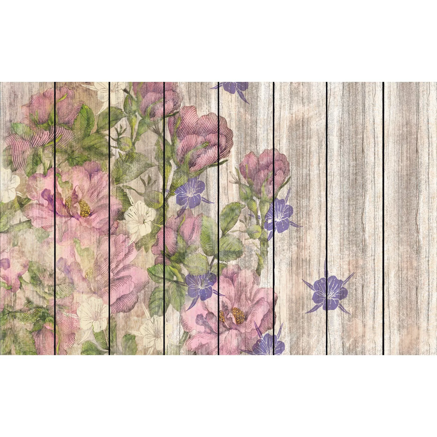 KOMAR Vlies Fototapete - Vintage Rose - Größe 400 x 250 cm mehrfarbig günstig online kaufen